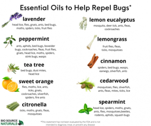 Essential Oils That Repel Insects Biosource Naturals