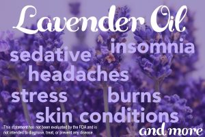 The Father of Aromatherapy & the Miracles of Lavender