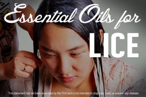 Essential Oils and Aromatherapy for Lice