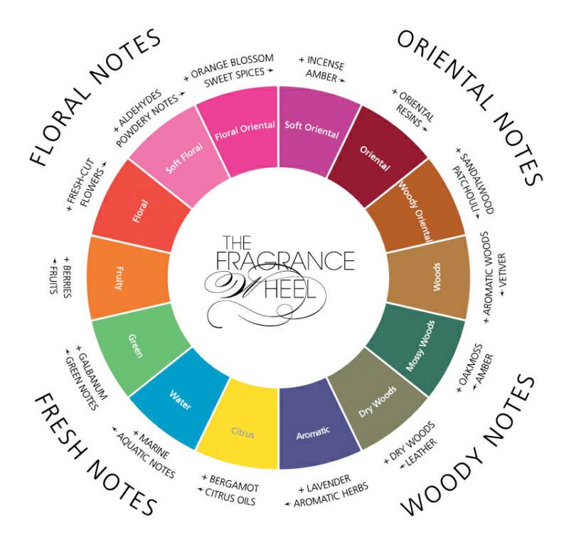 Your Guide to Perfume and Scents