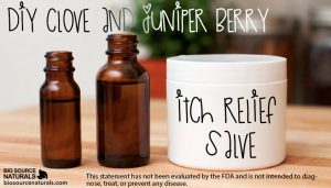 DIY Clove and Juniper Berry Itch Relief Salve