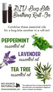 Essential Oils in the Garden