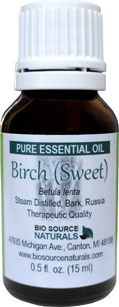 Sweet Birch Essential Oil Uses and Benefits