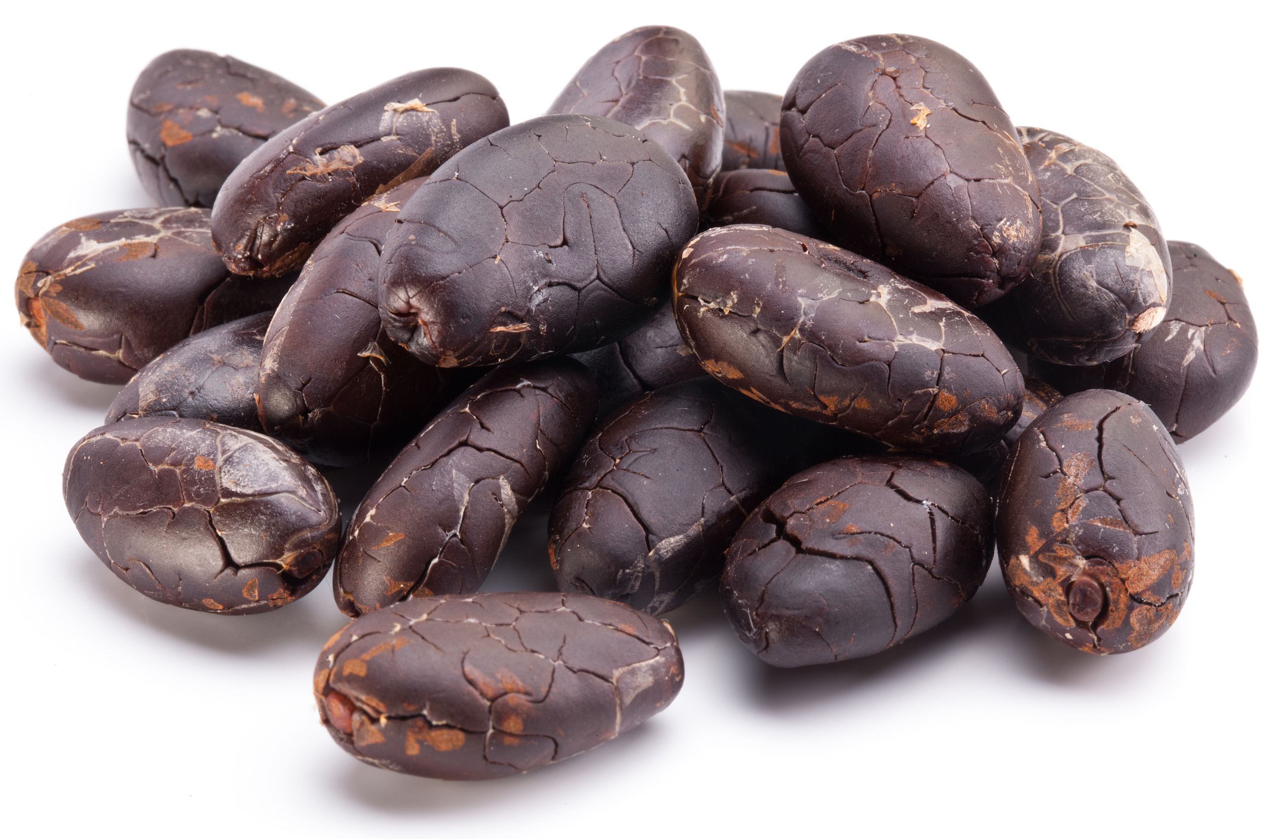 cocoa absolute oil uses and benefits