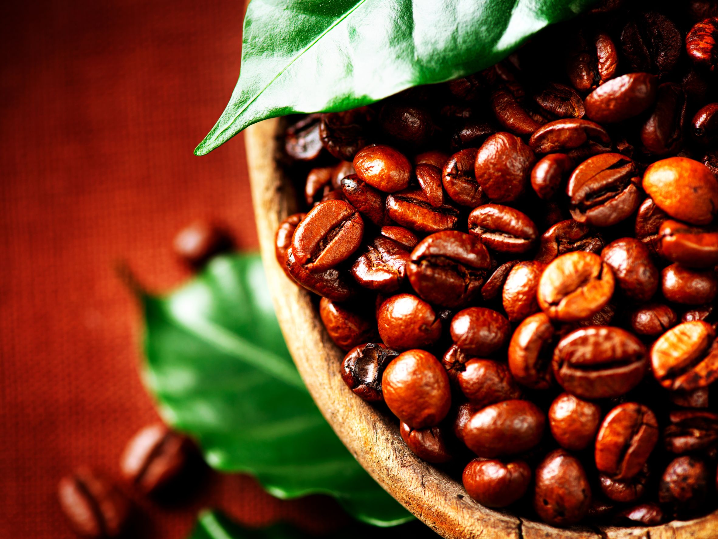 Coffee Essential Oil Uses and Benefits