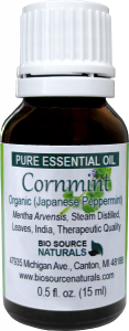 Cornmint Essential Oil Uses and Benefits