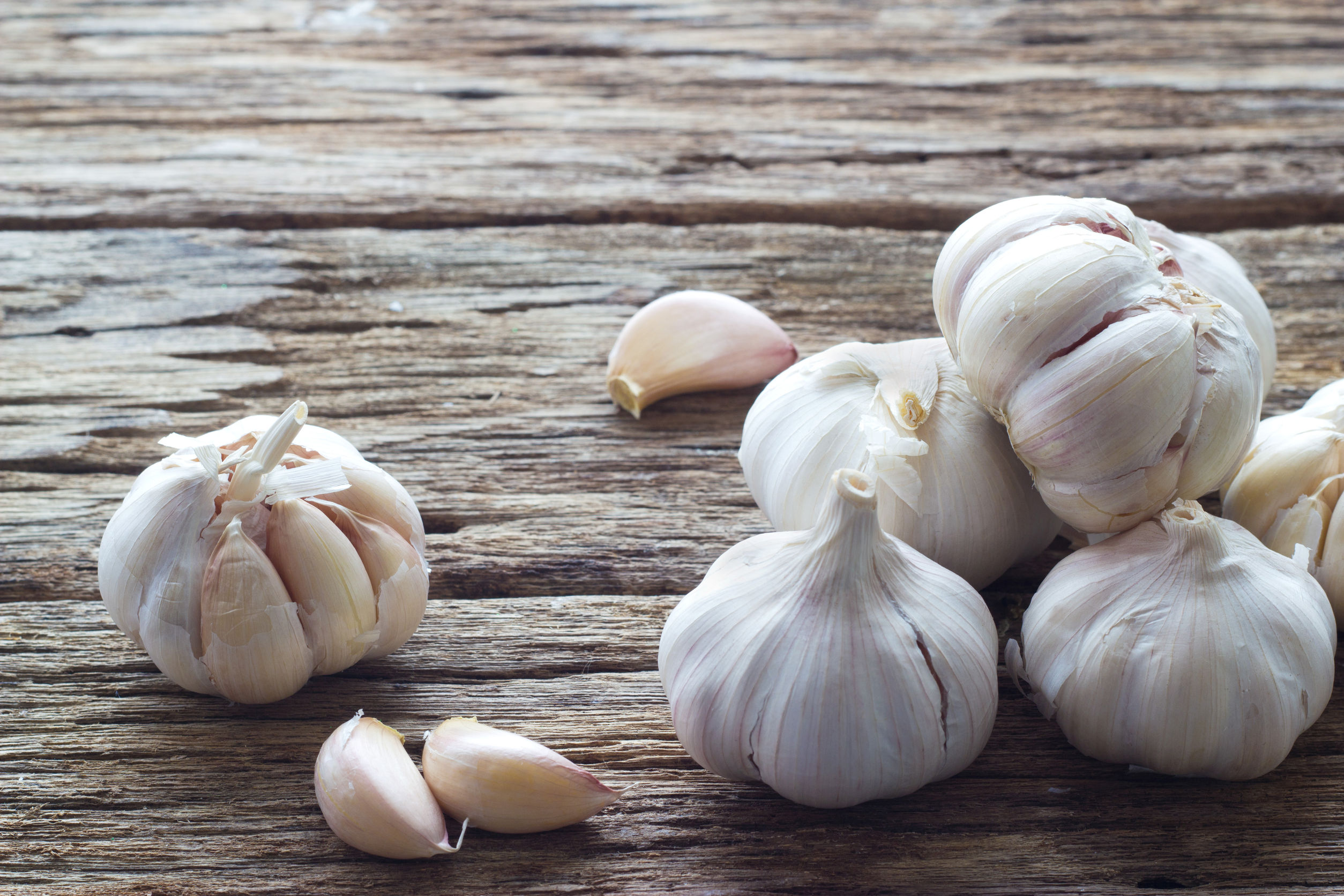Garlic Essential Oil: (Allium sativum) Garlic Essential Oil Uses and Benefits