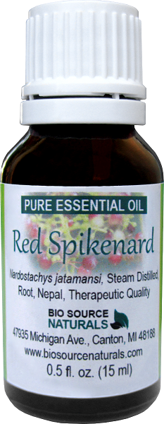 Red Spikenard Essential Oil Uses and Benefits