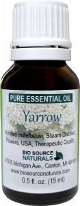 Yarrow Essential Oil Uses and Benefits