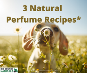 Natural Perfumes & Recipes with Essential Oils
