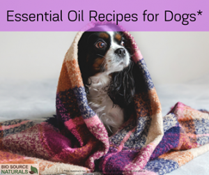 Essential Oil Recipes for Dogs