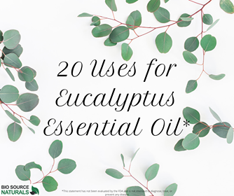 20 Uses for Eucalyptus Globulus Essential Oil