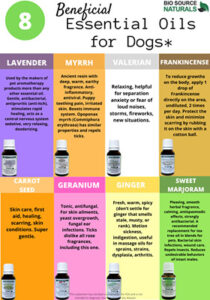 Essential Oils & Ten Biggest Mistakes You Can Make