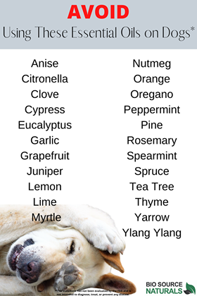 AVOID Using These Essential Oils on Dogs