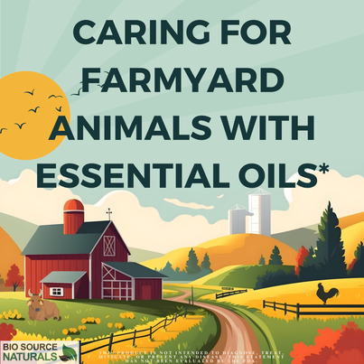Caring for Farmyard Animals With Essential Oils