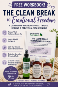 The Clean Break to Emotional Freedom Workbook
